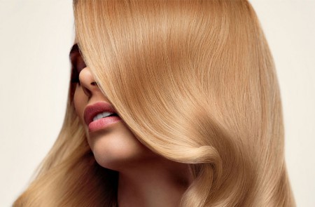 silk-base-closures